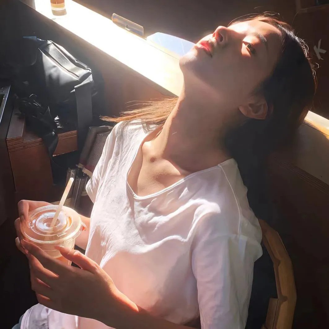 路易十四的死亡纪事 海报