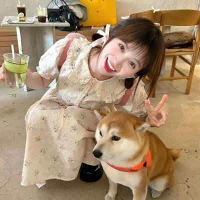 杂技皇后夏菊花 海报